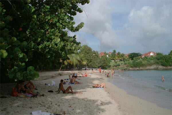 Sainte-Luce Martinique